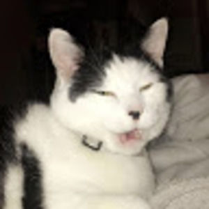 Meet your Posher, Sidney